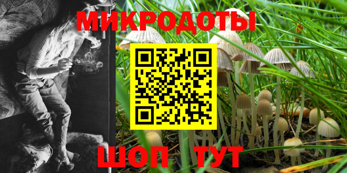 Псилоцибиновые грибы прущие грибы  Вход с VPN  как найти закладки  Магадан 