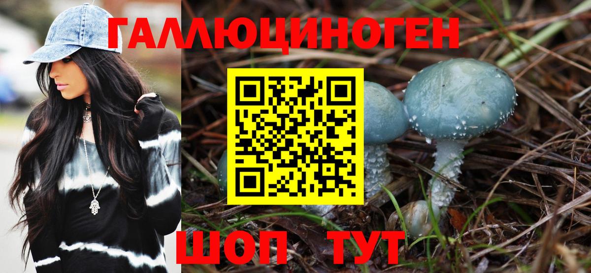 Псилоцибиновые грибы GOLDEN TEACHER Магадан